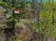Wood sided home tucked among the trees and a creek, offering privacy and nature at 11220 S Deer Creek Rd, Littleton, CO 80127