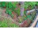 Backyard featuring beautiful landscaping and blooming plants at 11220 S Deer Creek Rd, Littleton, CO 80127
