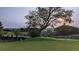 Golf course scenery, with green grass in the foreground and trees in the background at 2059 June Ct, Castle Rock, CO 80104