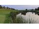 View of a golf course and a pond surrounded by grasses at 2059 June Ct, Castle Rock, CO 80104