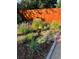 A tranquil backyard featuring a wide variety of plants and a wooden fence at 1650 Bedivere Cir, Lafayette, CO 80026