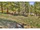 Wooded backyard with a deer grazing on the lawn providing a serene and natural environment at 32187 Sylvan Rd, Golden, CO 80403