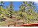 View of the carport from the wooden stairs leading up to the house, set in a forested area at 32187 Sylvan Rd, Golden, CO 80403