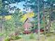 Secluded home featuring a large deck and yard that blends seamlessly into the natural forest at 32187 Sylvan Rd, Golden, CO 80403