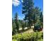 The beautiful mountain property features mature green trees and an antique wagon detail at 8699 Blue Creek Rd, Evergreen, CO 80439