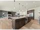 Open-concept kitchen and living room, featuring stainless steel appliances, granite counters, and a stone fireplace at 5492 Woodroot Pt, Castle Rock, CO 80104