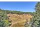 A view of the property including trees, a pond, a dirt road and the rustic cabin at 60 N County Highway 67, Sedalia, CO 80135