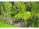 Green and lush landscape with a creek and a bench at 60 N County Highway 67, Sedalia, CO 80135
