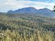 Panoramic view of rolling hills and evergreen trees set against a majestic blue mountain range at 60 N County Highway 67, Sedalia, CO 80135