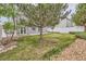 Picturesque backyard showcasing a grassy lawn, mature trees, and privacy fencing, perfect for outdoor activities at 5120 Perth St, Denver, CO 80249