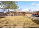 A well maintained backyard featuring a large grassy area perfect for outdoor enjoyment at 3925 Newland St, Wheat Ridge, CO 80033