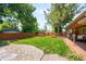 Expansive backyard featuring a well-maintained lawn and a newly installed wood fence at 3925 Newland St, Wheat Ridge, CO 80033