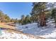 Expansive backyard offering tranquil scenery, with a mature forest at 1053 Red Moon Rd, Evergreen, CO 80439