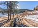 Scenic view of a gravel driveway leading through a wooded area with a mix of sun and shadows at 1053 Red Moon Rd, Evergreen, CO 80439