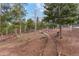 Backyard featuring a winding rock-lined pathway leading through mature trees on a sloping hillside at 11406 Conifer Ridge Dr, Conifer, CO 80433