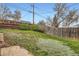 Backyard shot with a grass lawn and a wooden fence to the side offering privacy and shade in the yard at 7948 Stuart St, Westminster, CO 80030