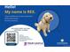 HOA information sheet featuring a dog and a QR code, along with property details and contact information at 381 S Ames St # F208, Lakewood, CO 80226
