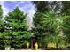 A yard with beautiful mature evergreen trees creating privacy and shade at 15292 E Hialeah Pl, Aurora, CO 80015