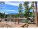 Outdoor deck showcasing scenic views, a perfect space for relaxing and enjoying the surrounding nature at 6743 Wild Rose Ln, Evergreen, CO 80439