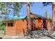 Stunning log cabin with vibrant trim and natural wood finish, surrounded by mature trees on a sunny day at 6743 Wild Rose Ln, Evergreen, CO 80439