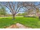 Large grassy backyard featuring a birdhouse, mature trees and a stone bench at 798 Alkire St, Lakewood, CO 80401
