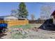 Grassy backyard features a tall wooden fence, trees, and minimal landscaping at 8221 Ralph Ln, Denver, CO 80221