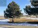 View of open space with trees and snow at 2111 Enterprise St, Superior, CO 80027