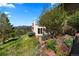 Beautiful home exterior with lush greenery and mountain views in the distance at 1621 Baneberry Ln, Golden, CO 80401