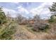 Overgrown backyard with patchy lawn and trees at 1720 S Balsam St, Lakewood, CO 80232