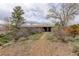 Charming home with mature trees and landscape at 1720 S Balsam St, Lakewood, CO 80232