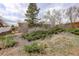 Landscaped yard featuring lush ground cover and mature evergreens at 1720 S Balsam St, Lakewood, CO 80232