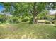 Lush backyard featuring a large tree, perfect for relaxation and outdoor activities at 3900 Garland St, Wheat Ridge, CO 80033