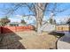 Spacious backyard with a large tree, a red fence, and a storage shed, offering privacy and outdoor enjoyment at 4499 E Colorado Ave, Denver, CO 80222