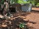 A large tree in backyard with storage sheds and mulch at 2836 S Fenton St, Denver, CO 80227