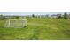 Community soccer field with green grass, white net and neighborhood homes in the background at 8677 S Buchanan Way, Aurora, CO 80016