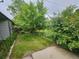 Lush backyard featuring a well-maintained lawn, mature trees, and partial privacy fence at 912 E 6Th Ave, Broomfield, CO 80020
