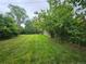 Expansive backyard features a well-maintained lawn and mature trees offering shade at 912 E 6Th Ave, Broomfield, CO 80020