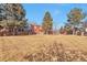 Expansive backyard featuring a large grassy area and mature trees at 1011 Milo Cir # A, Lafayette, CO 80026