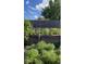 Landscaped backyard with retaining wall and various plants at 456 Pluto Ct, Lone Tree, CO 80124