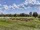 Panoramic view of City Park featuring lush greenery, walking paths, and Denver's skyline in the distance at 2530 N Franklin St, Denver, CO 80205