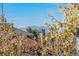 Lovely outdoor view featuring lush foliage, rooftops, and a distant mountain range beneath a clear blue sky at 2100 N Franklin St # 8, Denver, CO 80205