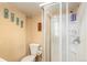 Bright bathroom featuring a glass-enclosed shower, toilet, and neutral wall decor at 25728 Stanley Park Rd, Evergreen, CO 80439