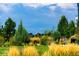 Community green space featuring various trees, manicured lawns, and mountain views at 2110 W 67Th Pl, Denver, CO 80221