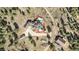 Aerial view of a house nestled among trees, showcasing the pool, outbuildings, and driveway layout at 12555 Critchell Ln, Littleton, CO 80127