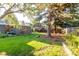 Lush backyard with mature trees, verdant grass, and charming outdoor seating area at 1338 S Fairfax St, Denver, CO 80222