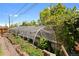Backyard greenhouse surrounded by garden with mature foliage at 5960 Glencoe St, Commerce City, CO 80022