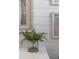 Close up of a bathroom vanity with greenery and rustic mirror at 5450 Flower Ct, Arvada, CO 80002