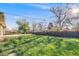 Large backyard with a well-maintained lawn and privacy fence, perfect for outdoor activities at 772 Urban Ct, Lakewood, CO 80401