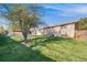 Large grassy backyard with mature trees, a side gate and view of the rear of the house at 772 Urban Ct, Lakewood, CO 80401