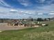 Community playground with a variety of play structures and open green space at 10132 Nickolas Ave, Highlands Ranch, CO 80130